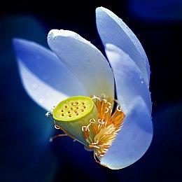 由于玩家强烈不满 《漫威争锋》宣布取消赛季中排位重置